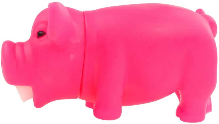Žaislas gyvūnams piggy, 1 vnt.