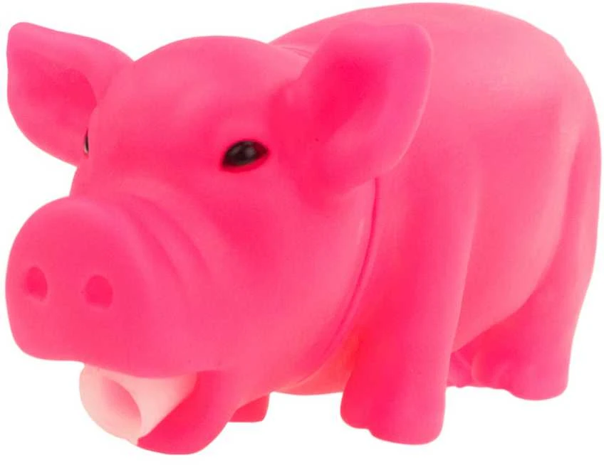 Žaislas gyvūnams piggy, 1 vnt.