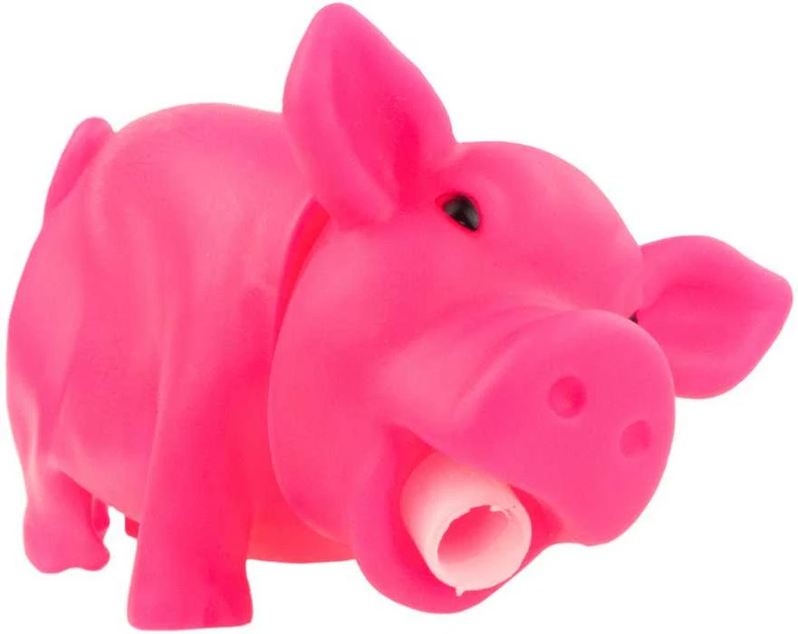 Žaislas gyvūnams piggy, 1 vnt.