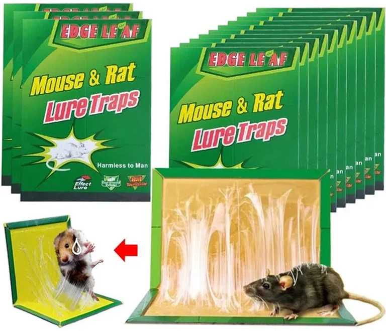 Mouse&Rat lipni gaudyklė graužikams, spąstai pelėms, 5 vnt.