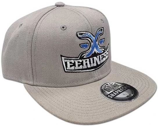 Kepurė EERINESS EERINESS snapback, pilkas, išsiuvinėtas logotipas