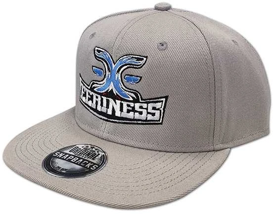 Kepurė EERINESS EERINESS snapback, pilkas, išsiuvinėtas logotipas