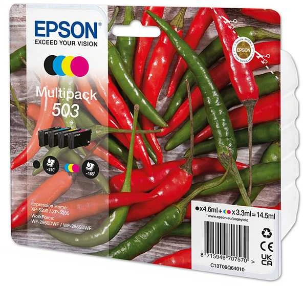 Epson ink 503 Multipack (C13T09Q64010)