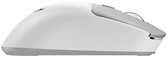 Genius NX-8260S Bevielė pelė, balta ir-pilka, 2400DPI