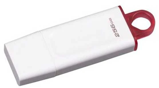 KINGSTON DataTraveler Exodia 256GB USB 3.2 Gen 1 Baltas