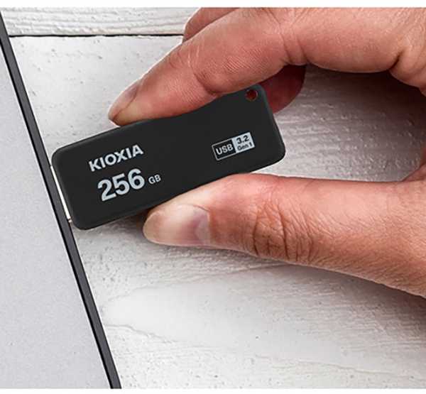 USB atmintinė Kioxia TransMemory U365, 256 GB (LU365K256GG4)