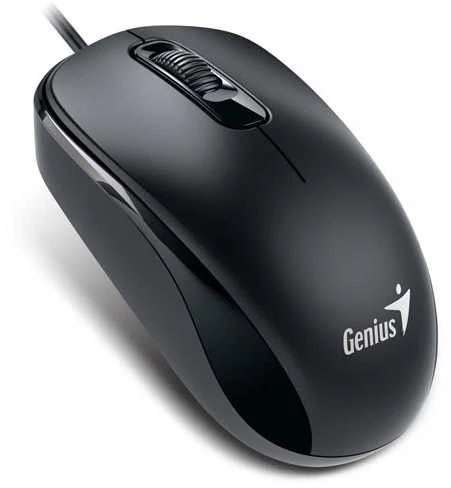KYE 31010105106 Genius optinė pelė su laidu DX-120, USB Juodas