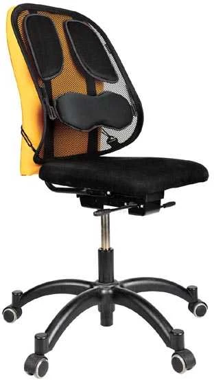 Nugaros atrama Fellowes Professional Series Mesh Back Support