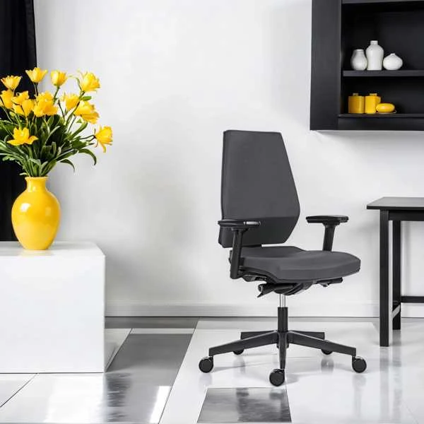 Powerton ERGO SIMA ergonomiška biuro kėdė, pilka