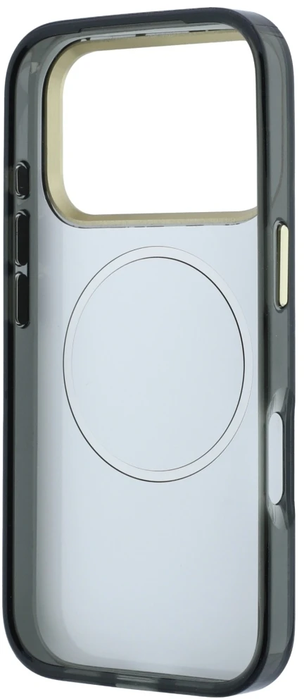 Dėklas Guess IML Glitter Blossom Roses MagSafe skirtas iPhone 18 Pro Max / 17 Pro Max juodas