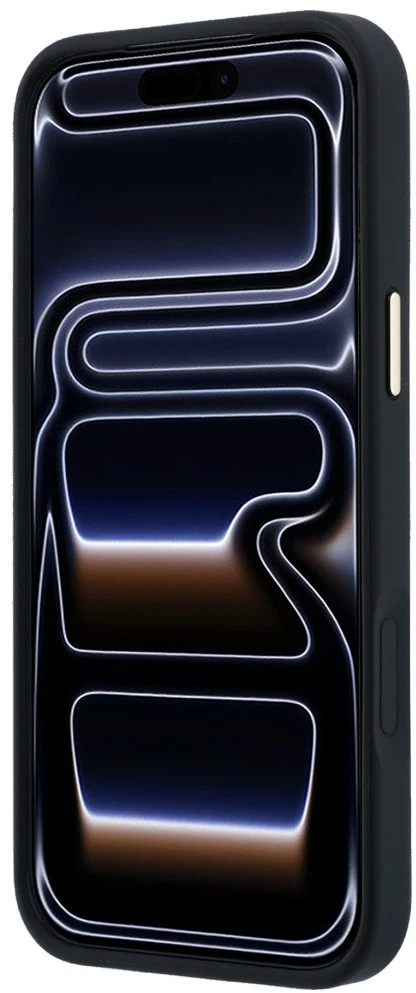 Dėklas Guess Peony 4G Small Logo MagSafe do iPhone 18 Pro Max / 17 Pro Max juoda
