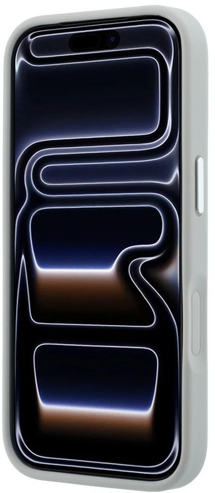 Dėklas Karl Lagerfeld Point & Choupette Sketch MagSafe do iPhone 18 Pro / 17 Pro pilka