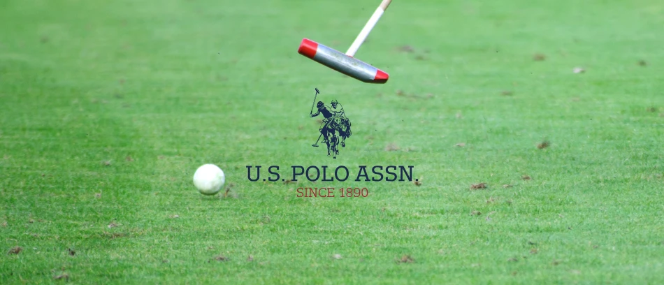 Us Polo Assn US Polo IML Ring MagSafe Apple iPhone 16 Pro Max - dėklas telefonui baltos spalvos aprašymas - Prekės nuotrauka