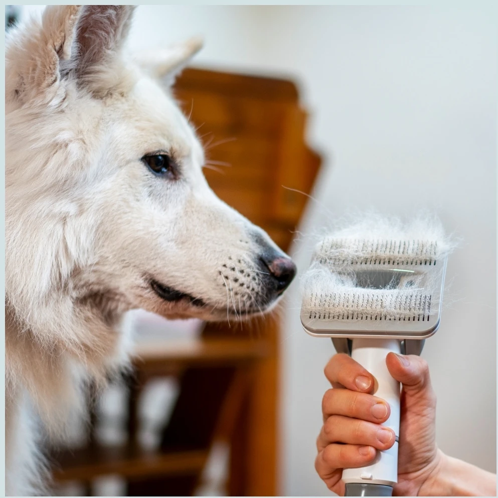 Dulkių siurblys Tesla Rinkinys PetCare Station TQ500 Pro