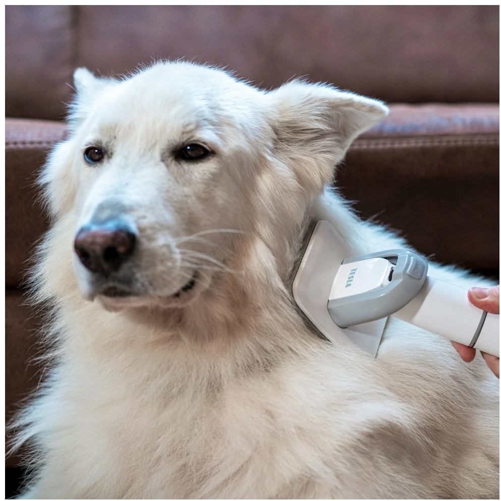 Dulkių siurblys Tesla Rinkinys PetCare Station TQ500 Pro