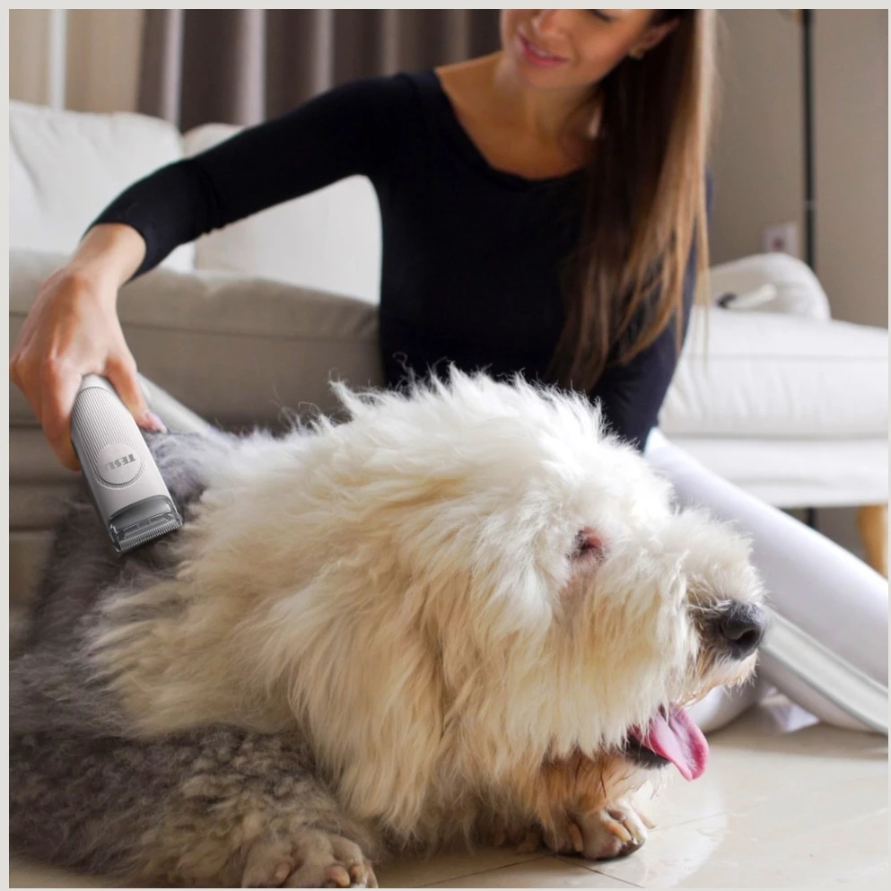 Dulkių siurblys Tesla Rinkinys PetCare Station TQ500 Pro