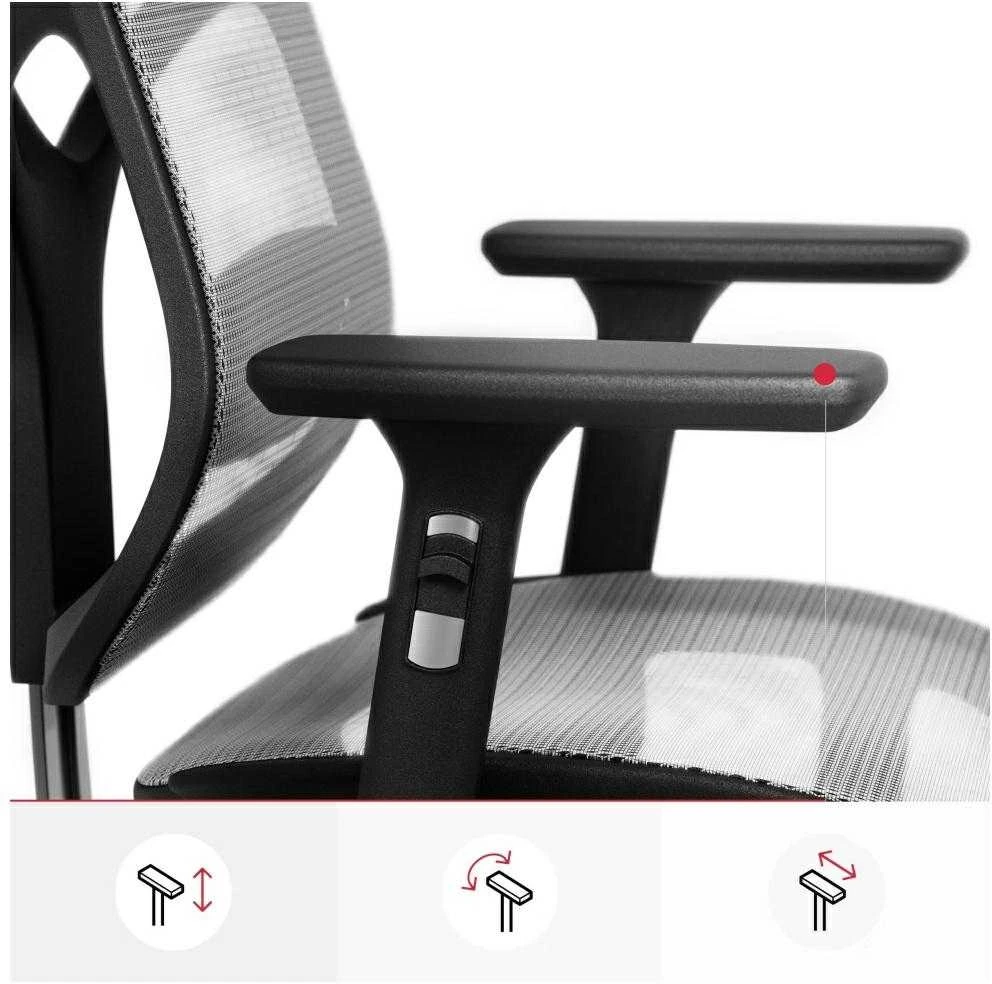 Ergonominė kėdė Diablo V-Basic Normal Ergonomic Chair, Pilkos/ Juodos spalvos