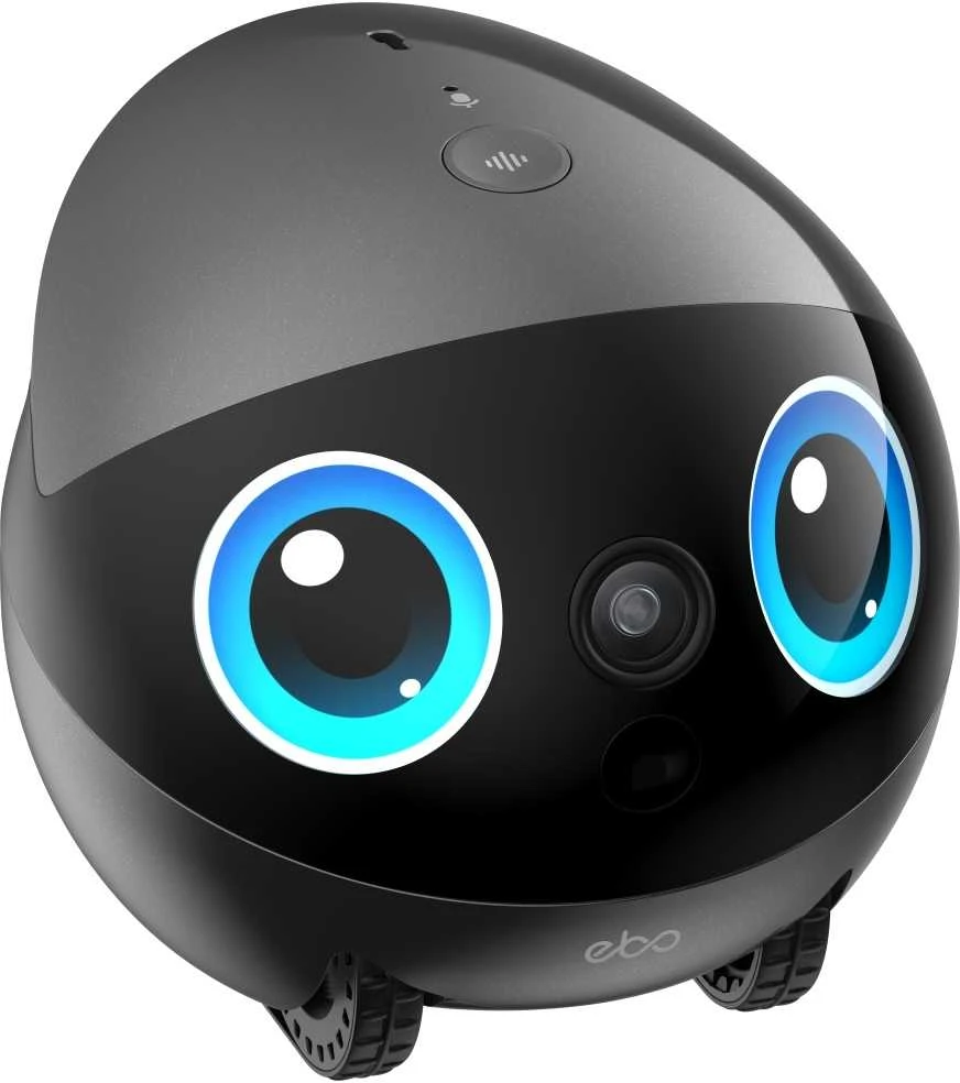 Namų robotas kompanijonas Enabot EBO Air 2 Plus FamilyBot su stebėjimo ir skambučių funkcija, pilkas