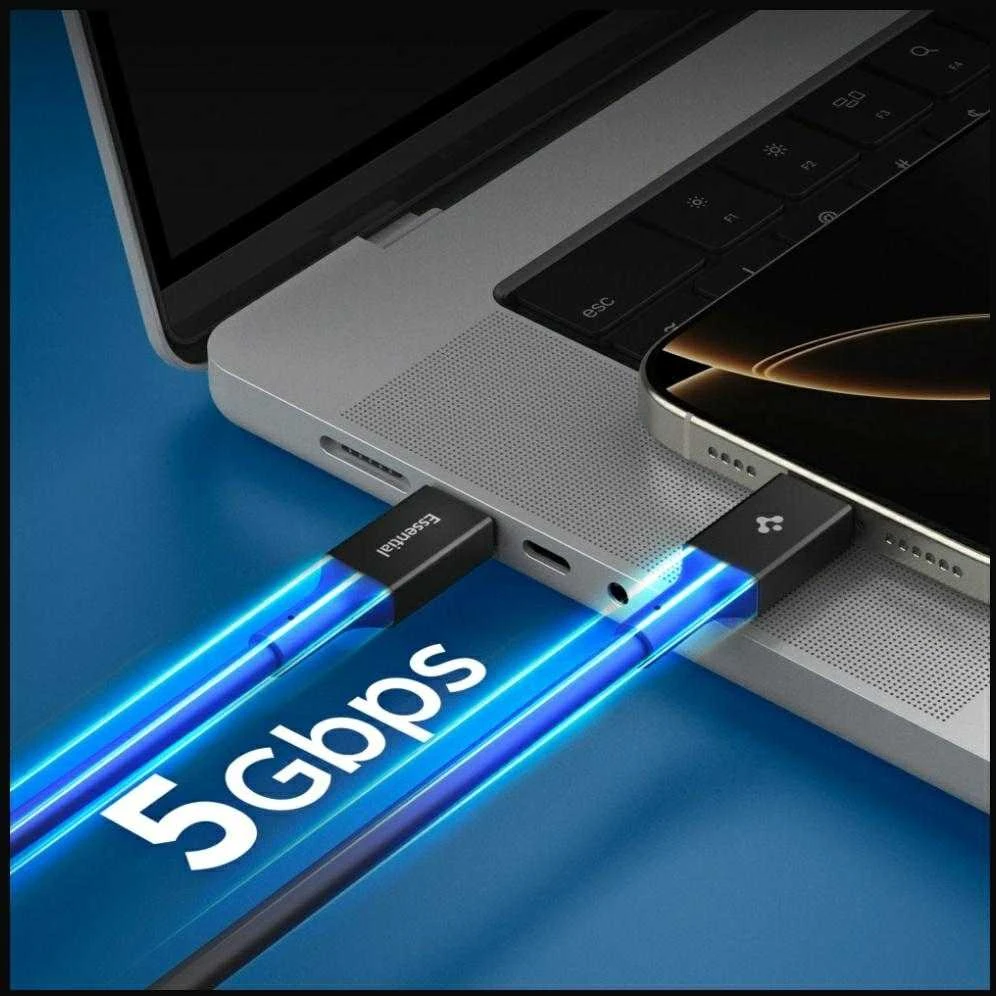Spigen Essential USB C į USB C 100W laidas, juodas EB10020CC