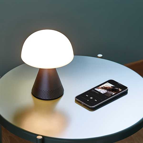 LEXON | Mina L Audio | 5 W | Gun Metal