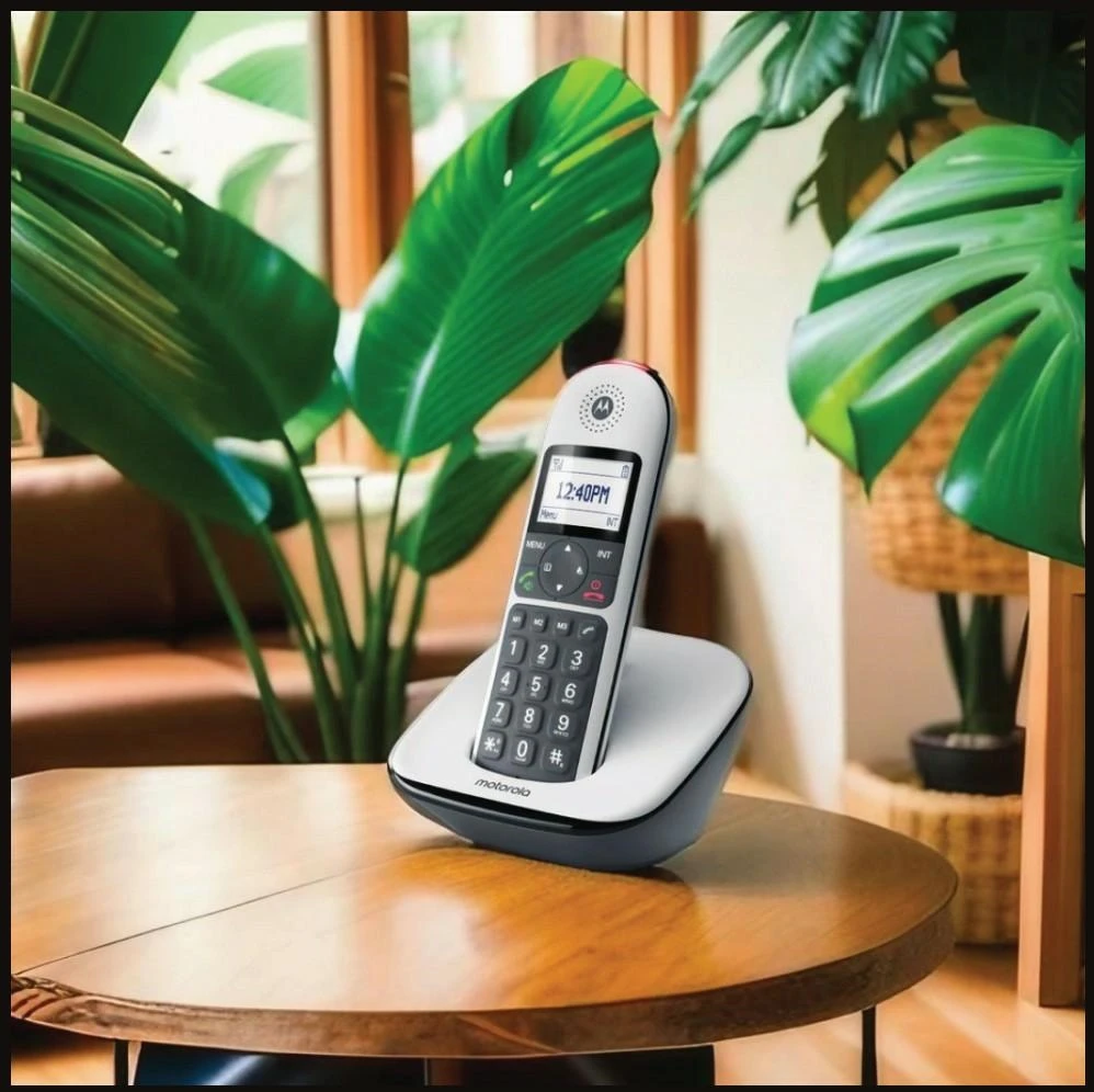 Motorola CD5001 baltas | Motorola