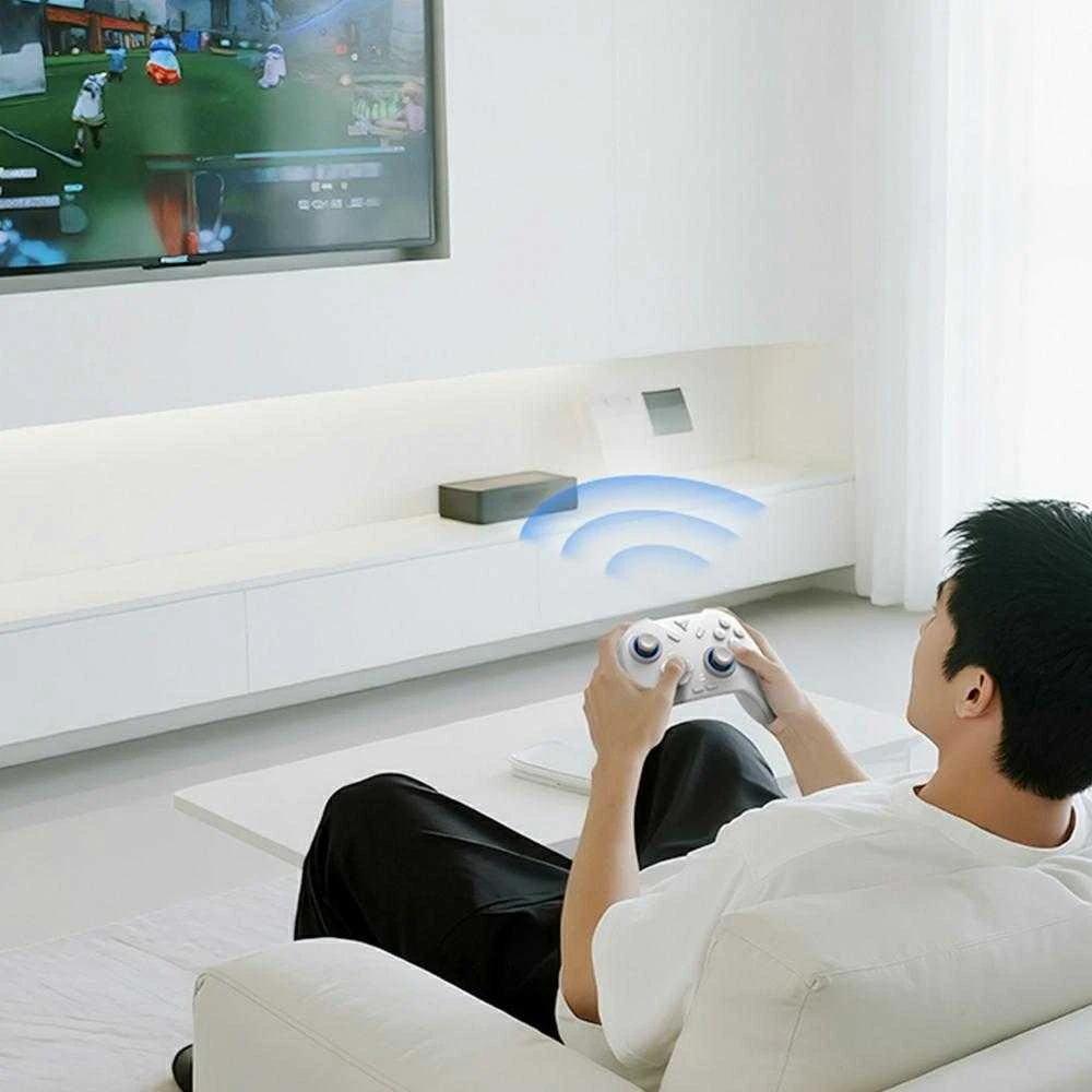 Universalus „Bluetooth“ žaidimų valdiklis Flydigi DIREWOLF 4, baltas