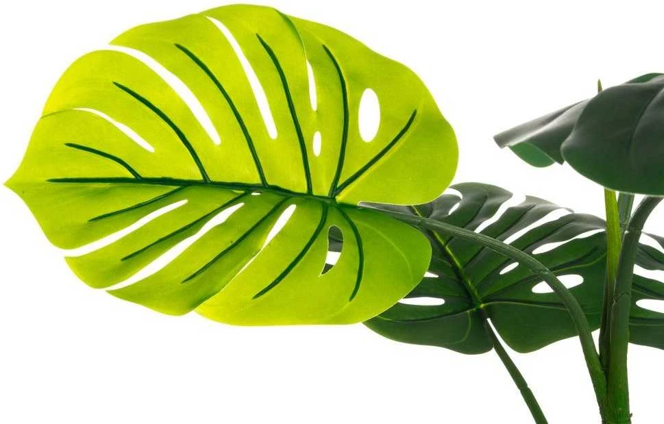 Dirbtinė monstera – lapų detalė