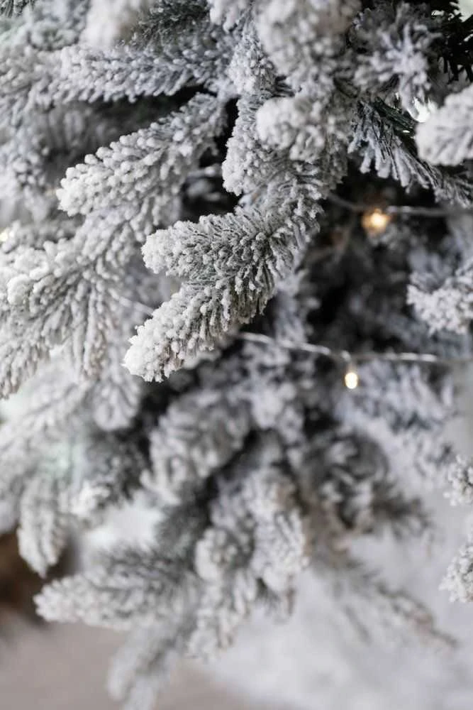 Winteria Dirbtinė eglutė Premium, žalia su baltu sniegu, 210 cm
