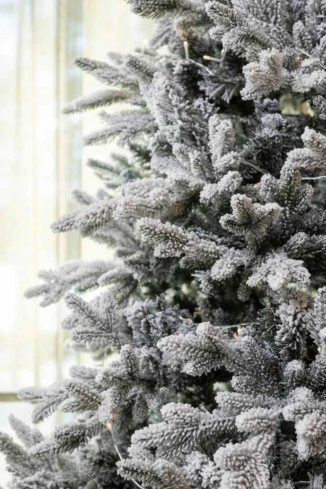 Winteria Dirbtinė eglutė Premium, žalia su baltu sniegu, 210 cm