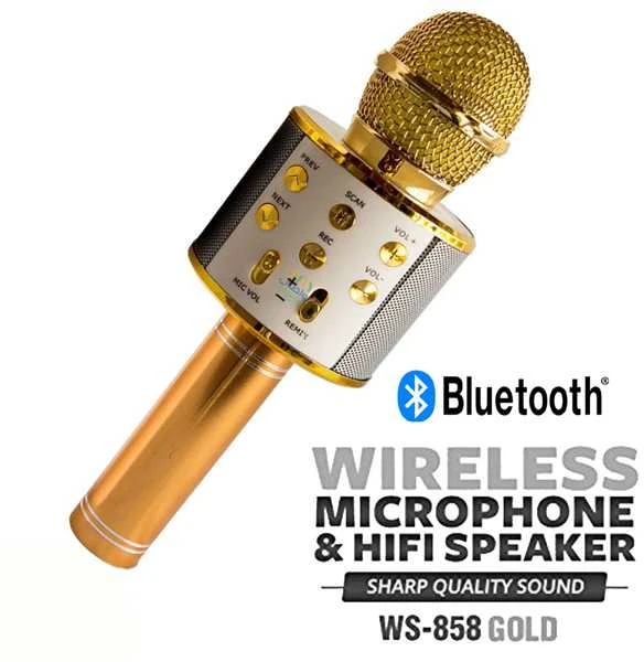 Mikrofonas Royal Song WS-858 auksinis