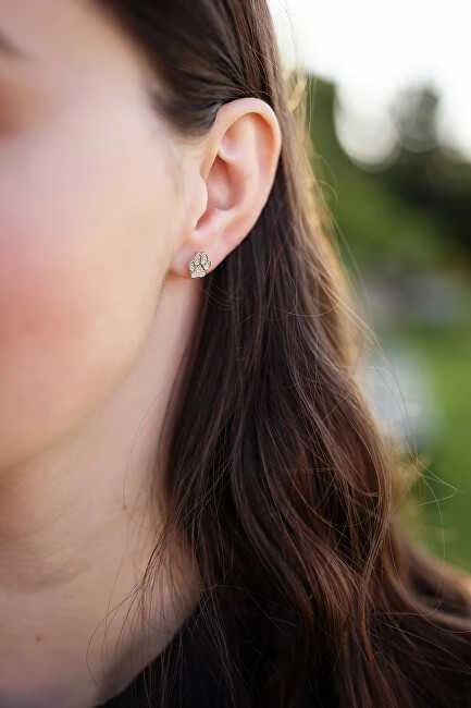 Agato Sidabrinis earrings Paw AGUP3548S