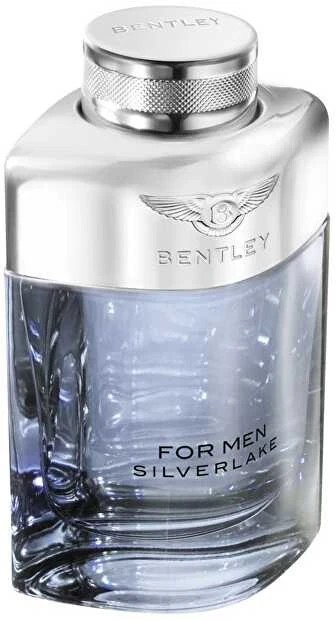 Bentley Silverlake EDP parfumuotas vanduo vyrams, 100 ml