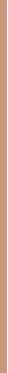 Makiažo pagrindas ,,Bourjois Healthy Mix Radiant Foundation", spalva: 52.5C Rose Beige, 30ml