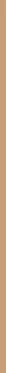 Makiažo pagrindas ,,Bourjois Healthy Mix Radiant Foundation", spalva: 52W Vanilla, 30ml