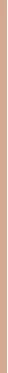 Makiažo pagrindas ,,Bourjois Healthy Mix Radiant Foundation", spalva: 50.5N Light Ivory, 30ml