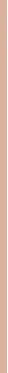 Makiažo pagrindas ,,Bourjois Healthy Mix Radiant Foundation", spalva: 50C Rose Ivory, 30ml