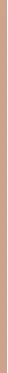 Makiažo pagrindas ,,Bourjois Healthy Mix Radiant Foundation", spalva: 51.5C Rose Vanilla, 30ml