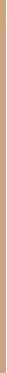 Makiažo pagrindas ,,Bourjois Healthy Mix Radiant Foundation", spalva: 51W Light Vanilla, 30ml