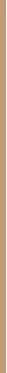 Makiažo pagrindas ,,Bourjois Healthy Mix Radiant Foundation", spalva: 53W Light Beige, 30ml