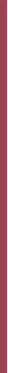 BOURJOIS Paris Fabulous Ink lūpų dažai