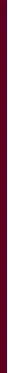 Skysti lūpų dažai Bourjois FABULEUX INK N:07 Raisin To Live