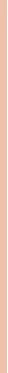 Bourjois Healthy Mix Poudre Naturel 03-Rose rusvai gelsvas kompaktinė pudra 10g