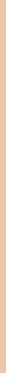 Veganiškas makiažo pagrindas BOURJOIS Paris Healthy Mix Clean & Vegan Serum Makeup, 30 ml N:52 W