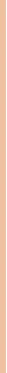 BOURJOIS Paris Healthy Mix Clean & Vegan Serum Makeup moterims, 30 ml