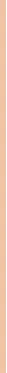 Veganiškas makiažo pagrindas BOURJOIS Paris Healthy Mix Clean & Vegan Serum Makeup, 30 ml N:53 W