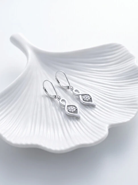 Brilio Silver Brilio Sidabrinis Beautiful sidabrinis earrings EA738W