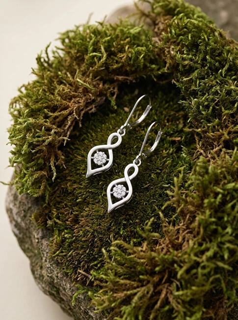Brilio Silver Brilio Sidabrinis Beautiful sidabrinis earrings EA738W