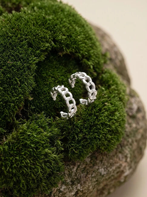 Brilio Silver Brilio Sidabrinis Matching sidabrinis earrings EA771W