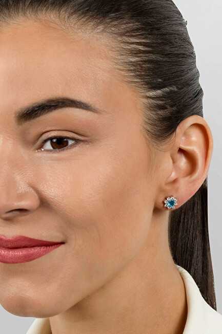 Brilio Silver Brilio Sidabrinis Matching sidabrinis earrings with zircons Flowers EA577WAQ