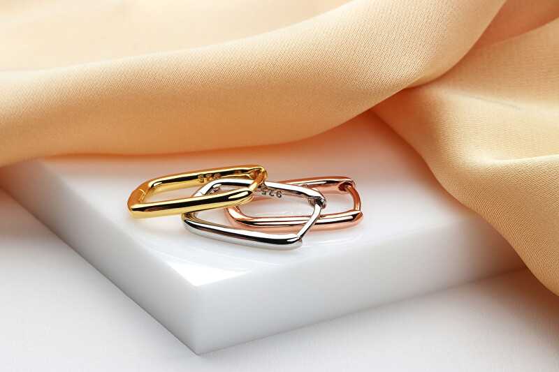 Brilio Silver Brilio Sidabrinis Elegant sidabrinis auskarai EA764W